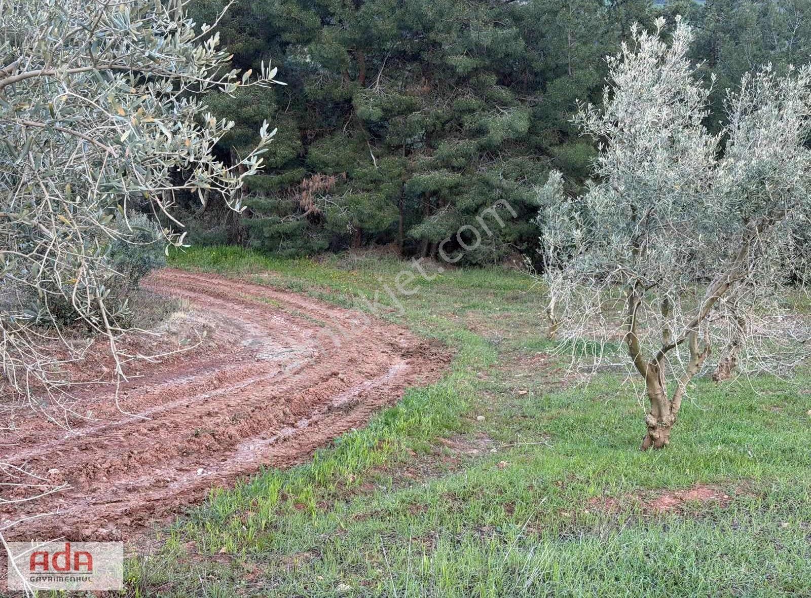 Sakarya Geyve Sekiharman Mahallesinde Satılık 5.000 M² Müstakil - Görsel 31