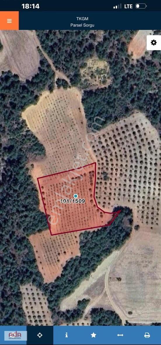 Sakarya Geyve Sekiharman Mahallesinde Satılık 5.000 M² Müstakil - Görsel 35