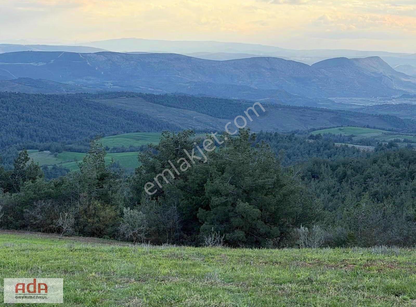 Sakarya Geyve Sekiharman Mahallesinde Satılık 5.000 M² Müstakil - Görsel 16