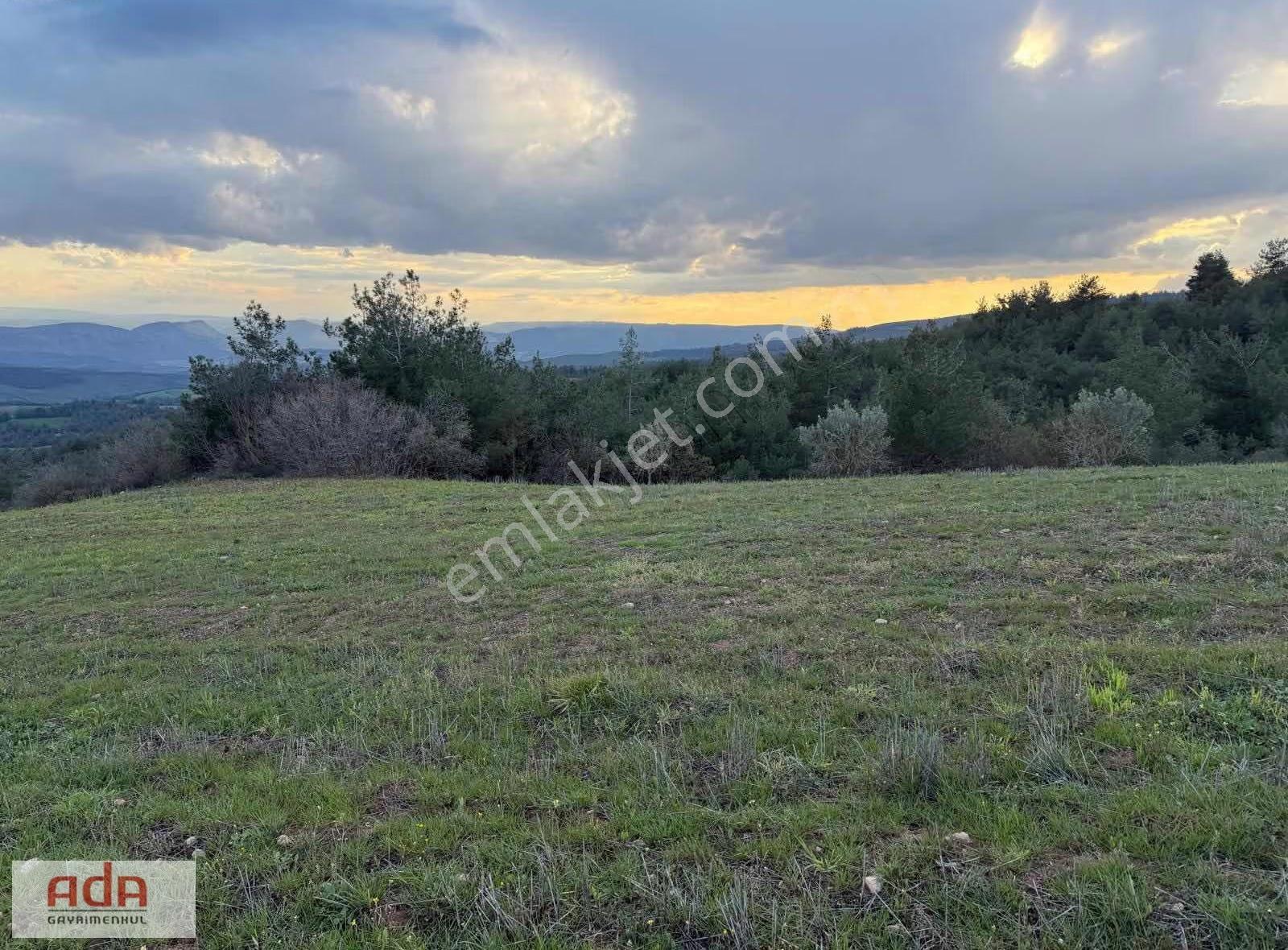 Sakarya Geyve Sekiharman Mahallesinde Satılık 5.000 M² Müstakil - Görsel 18
