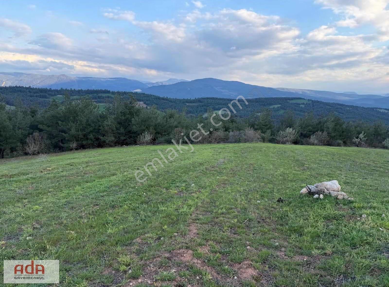 Sakarya Geyve Sekiharman Mahallesinde Satılık 5.000 M² Müstakil - Görsel 34