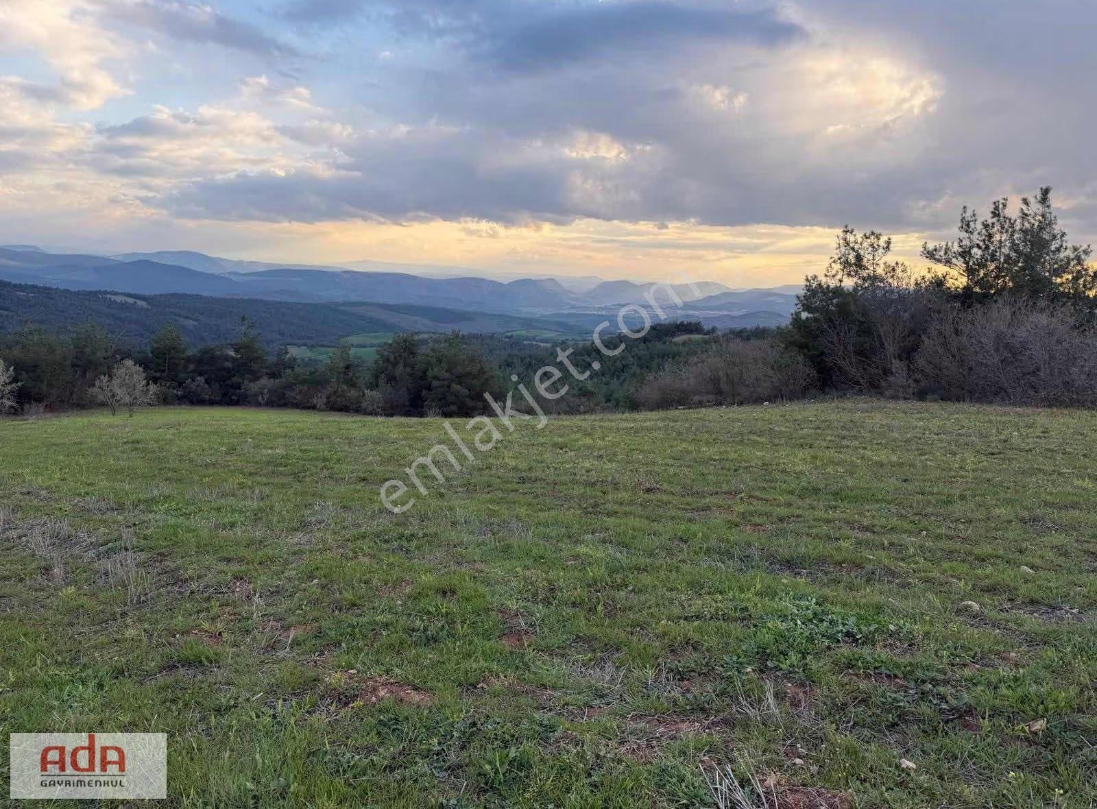 Sakarya Geyve Sekiharman Mahallesinde Satılık 5.000 M² Müstakil - Görsel 17