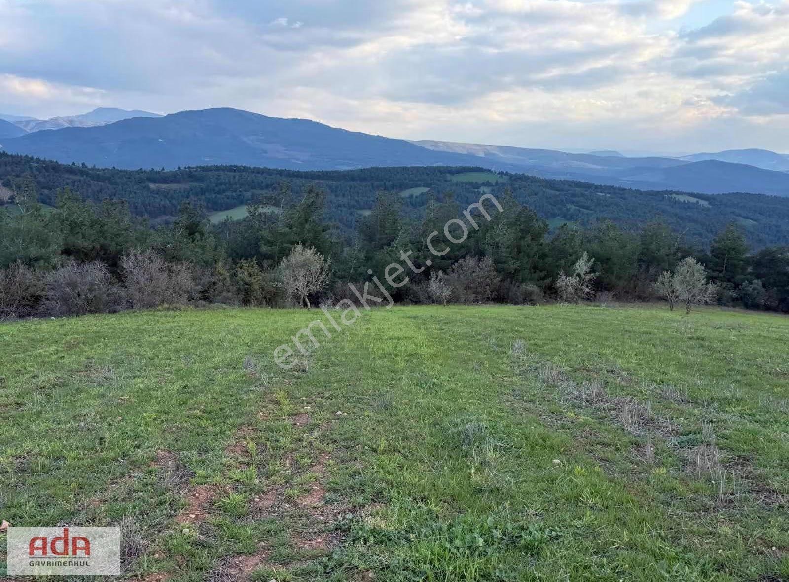 Sakarya Geyve Sekiharman Mahallesinde Satılık 5.000 M² Müstakil - Görsel 3