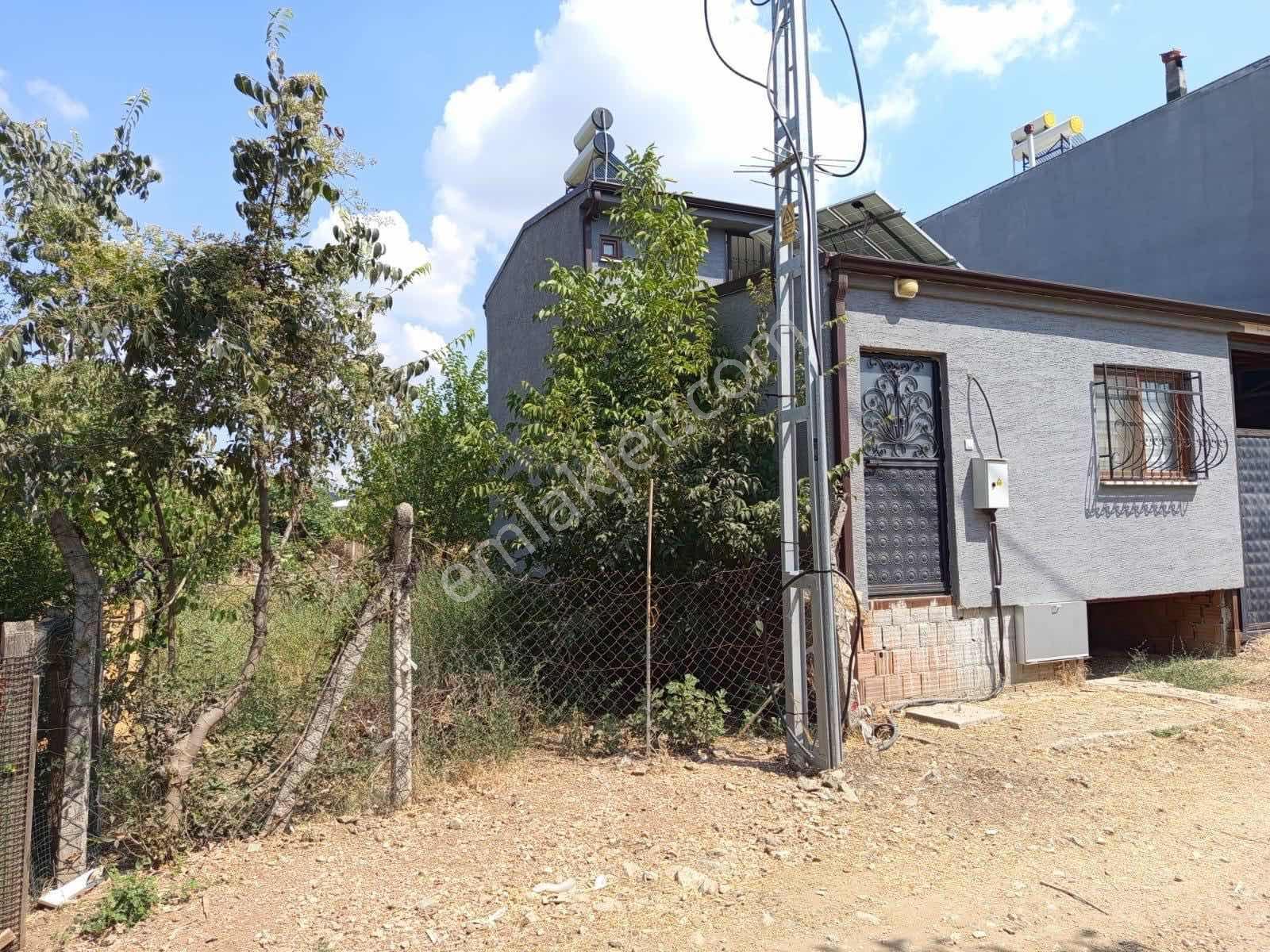 Demircide İçinde Yapı Kayıt Belgeli Evi Olan Satılık Tarla - Görsel 5