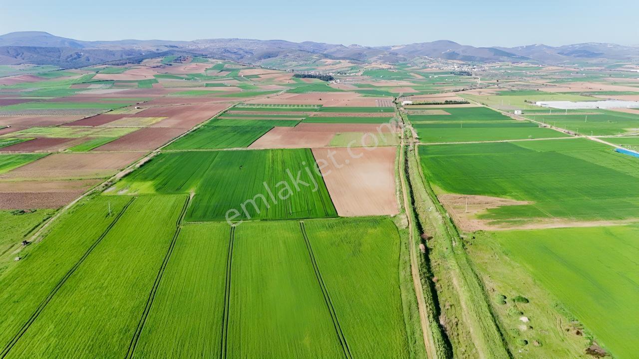 Bursa Yenişehir Karacaalide Sanayiye Yakın Dev Yatırımlık Arazi - Görsel 18