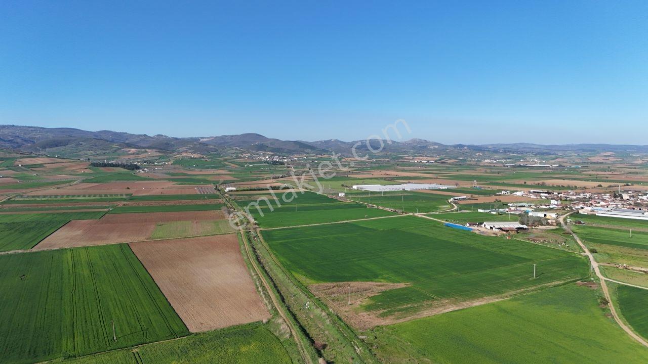 Bursa Yenişehir Karacaalide Sanayiye Yakın Dev Yatırımlık Arazi - Görsel 14