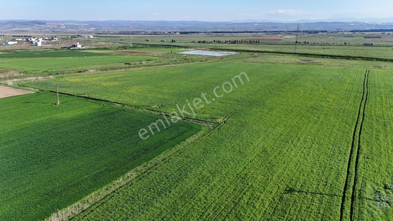 Bursa Yenişehir Karacaalide Sanayiye Yakın Dev Yatırımlık Arazi - Görsel 3