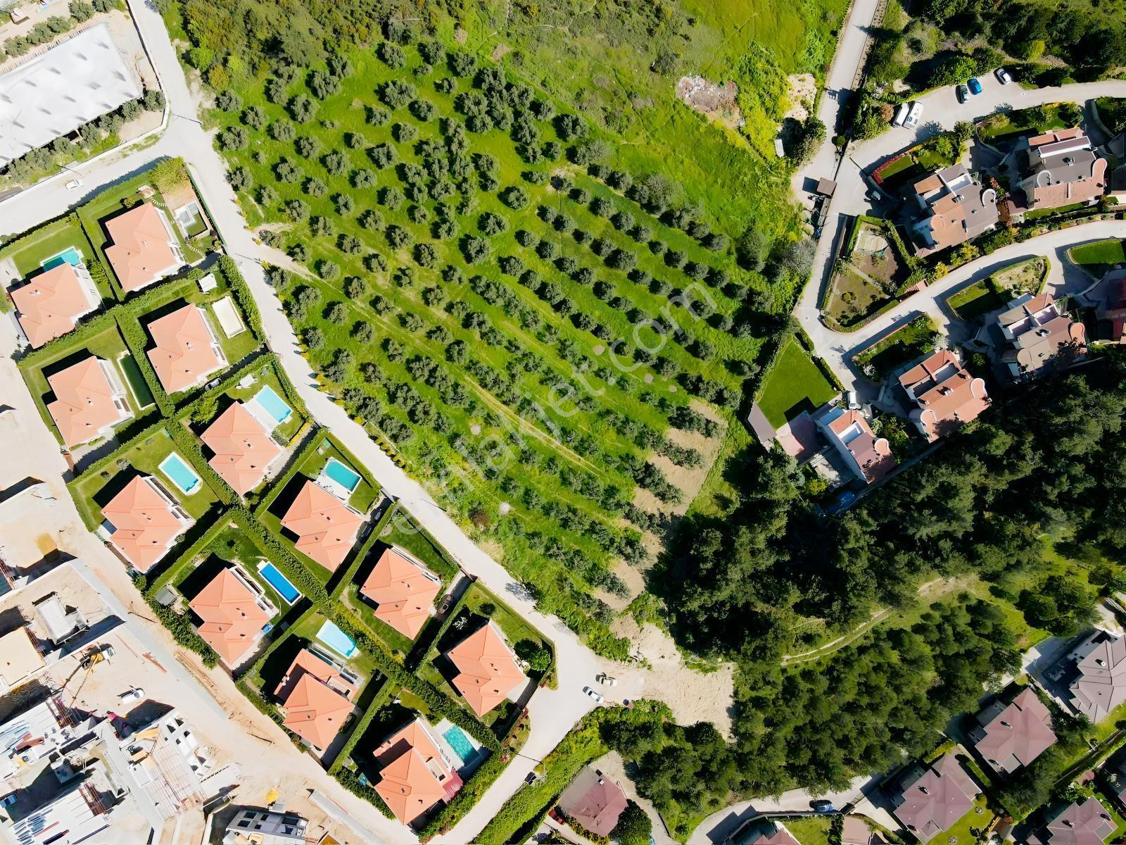 Mudanya Çağrışanda Villa İmarlı 1953m² Satılık Arsa