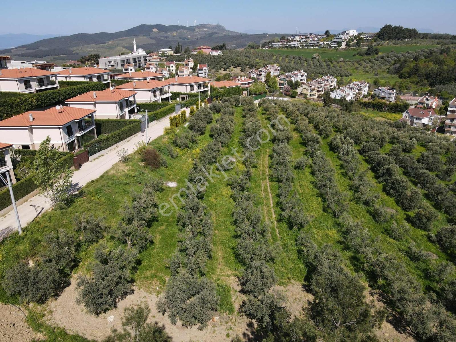 Mudanya Çağrışanda Villa İmarlı 1953m² Satılık Arsa - Görsel 6