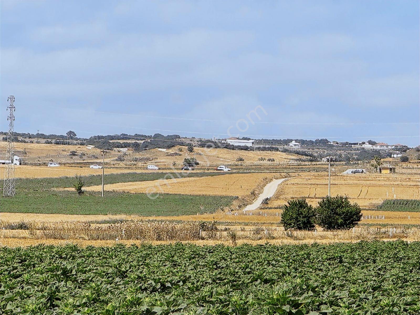 Vize Evrenlı De 270 M2 Arsa Acil Satılık - Görsel 9