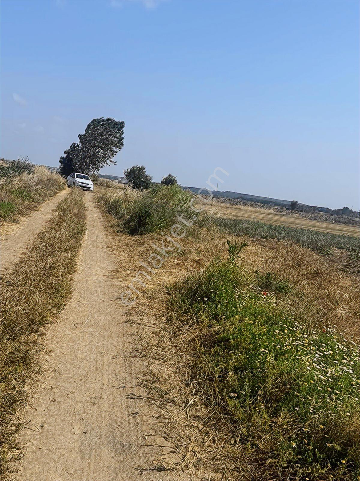 Vize Evrenlı De 270 M2 Arsa Acil Satılık - Görsel 8