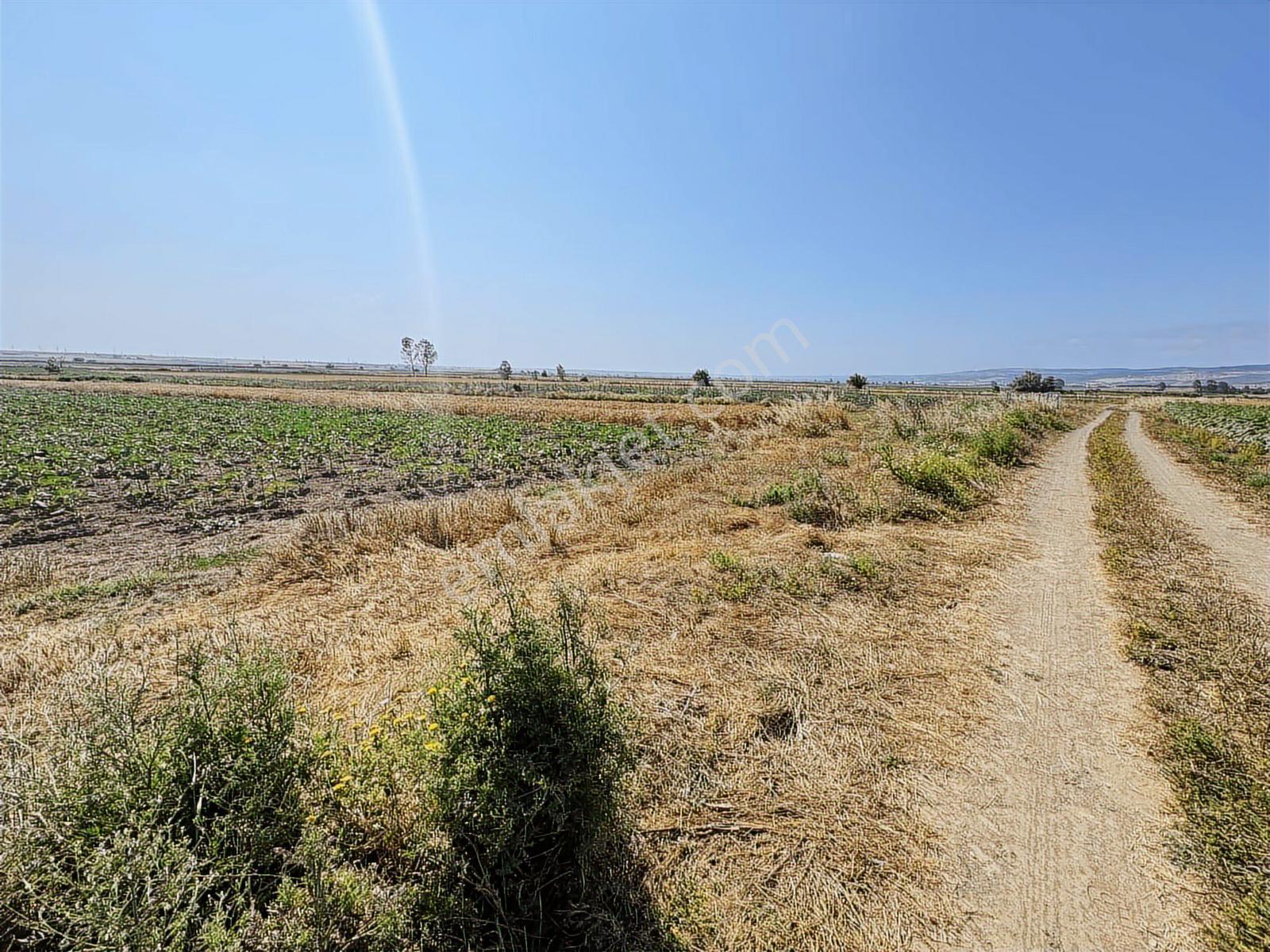 Vize Evrenlı De 270 M2 Arsa Acil Satılık - Görsel 16