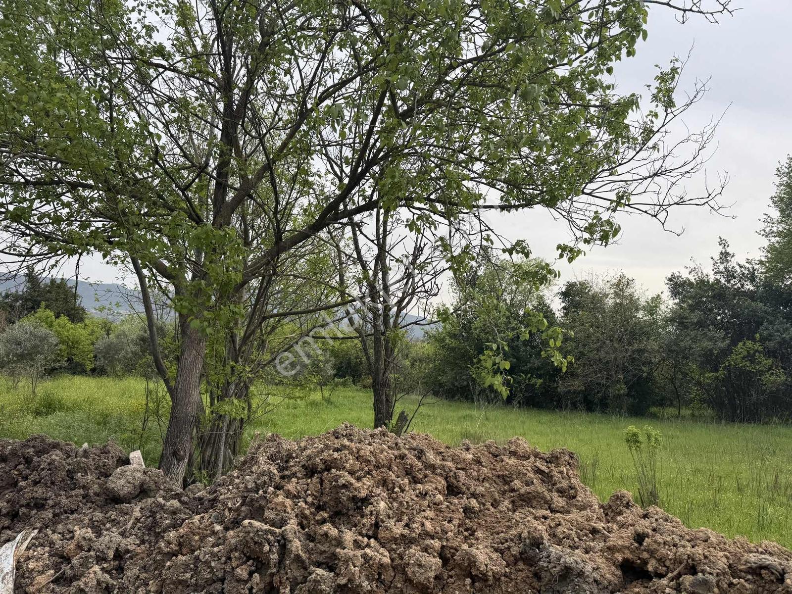 Yeşilpınar'da Satılık Arsa - Görsel 32