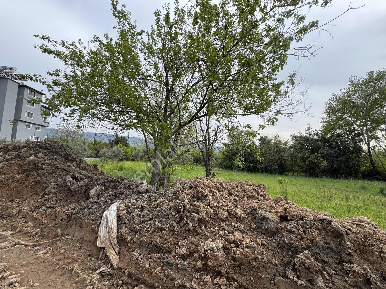Yeşilpınar'da Satılık Arsa - Görsel 31