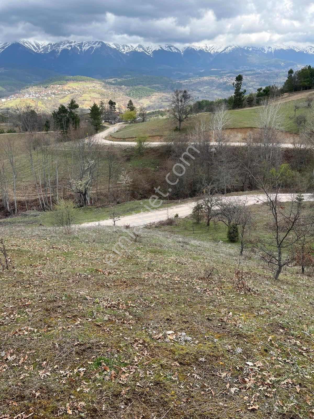 Bursa Keles Kozbudaklarda Satılık 5.455 M² Tarla - Görsel 31