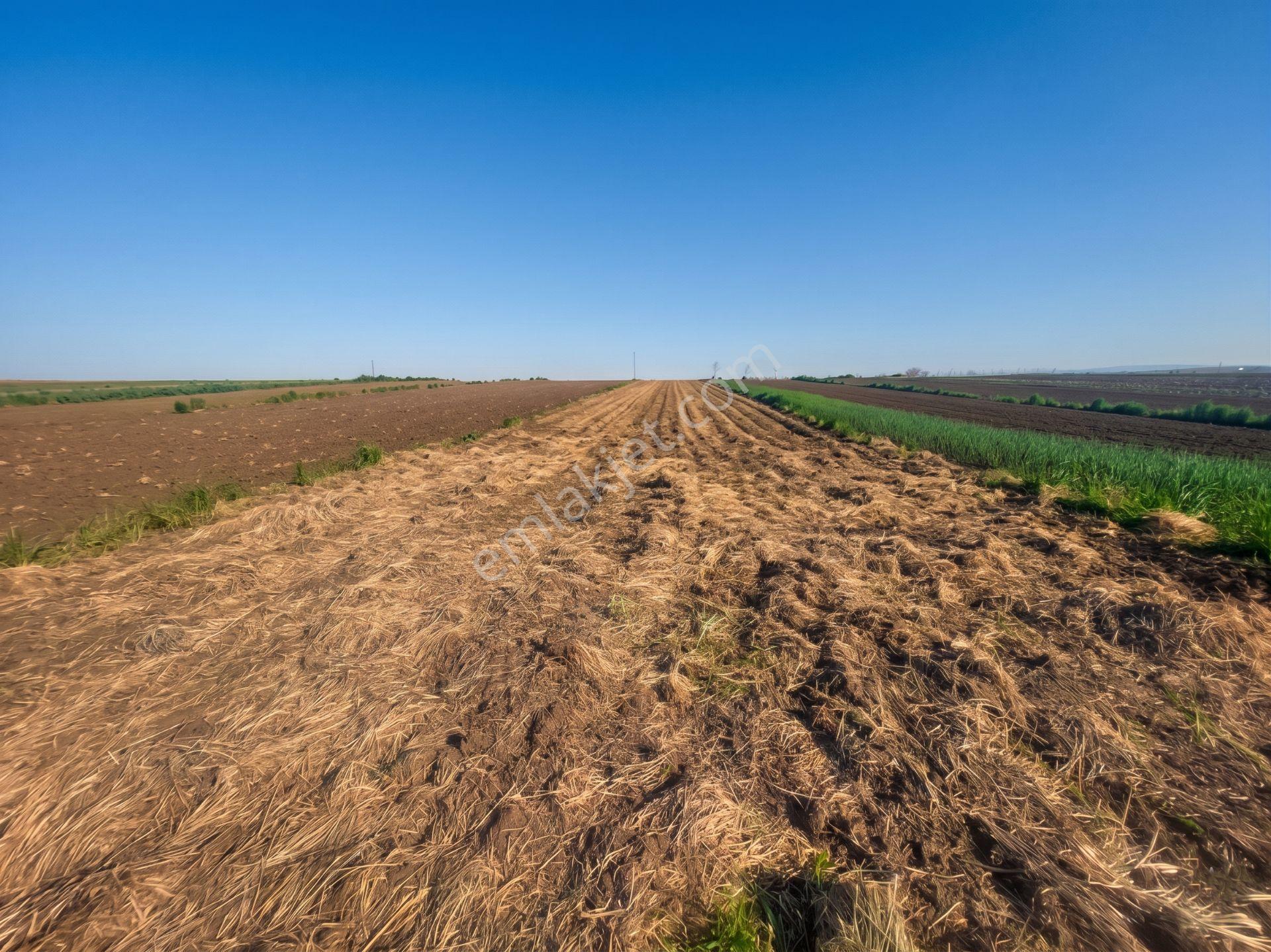 📍 Tekirdağ Süleymanpaşa Karacaklavuz’da Altyapıya Yakın, Yatırımlık 1.380 M² Tarla! 🚀 - Görsel 3