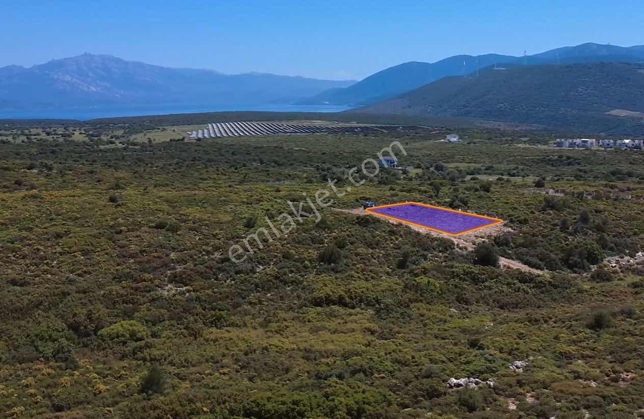 Acil! Didim Akyeniköy Bozsekide Göl Manzaralı Köşe Arsa
