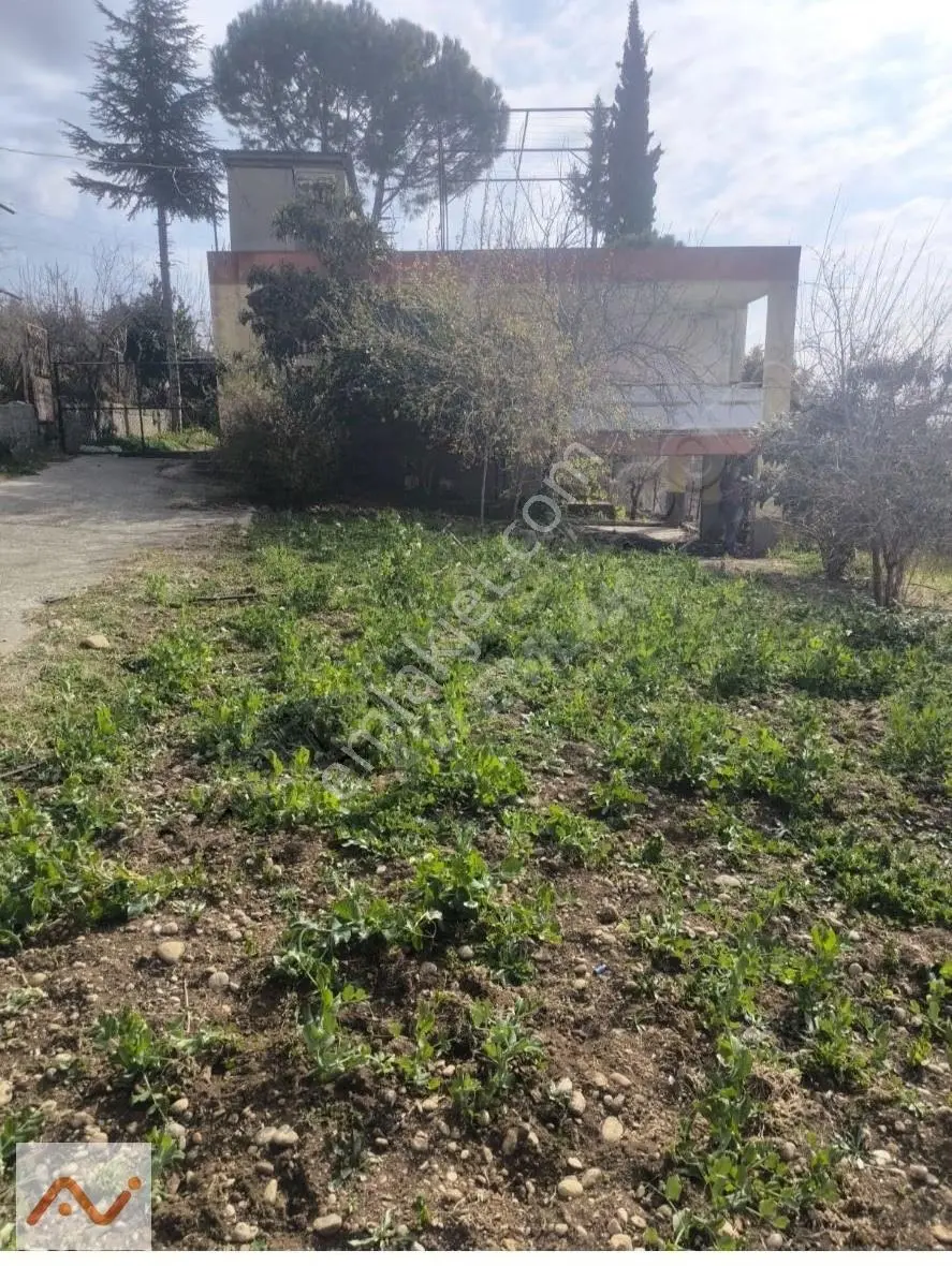 Akarca Yaylası'nda 960m2 Arsa İçerisinde Müstakil Evli Yaylalık
