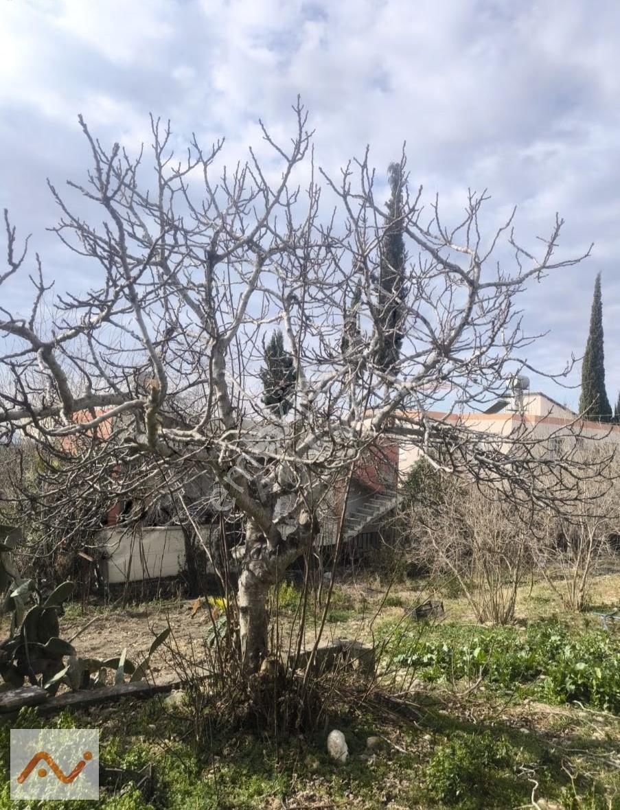 Akarca Yaylası'nda 960m2 Arsa İçerisinde Müstakil Evli Yaylalık - Görsel 20
