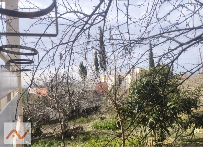 Akarca Yaylası'nda 960m2 Arsa İçerisinde Müstakil Evli Yaylalık - Görsel 19