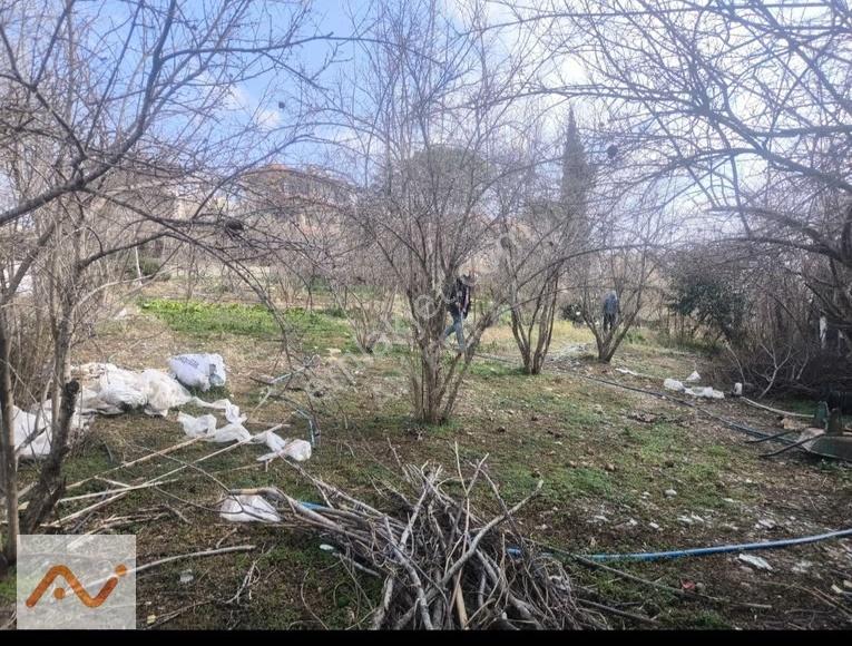 Akarca Yaylası'nda 960m2 Arsa İçerisinde Müstakil Evli Yaylalık - Görsel 8