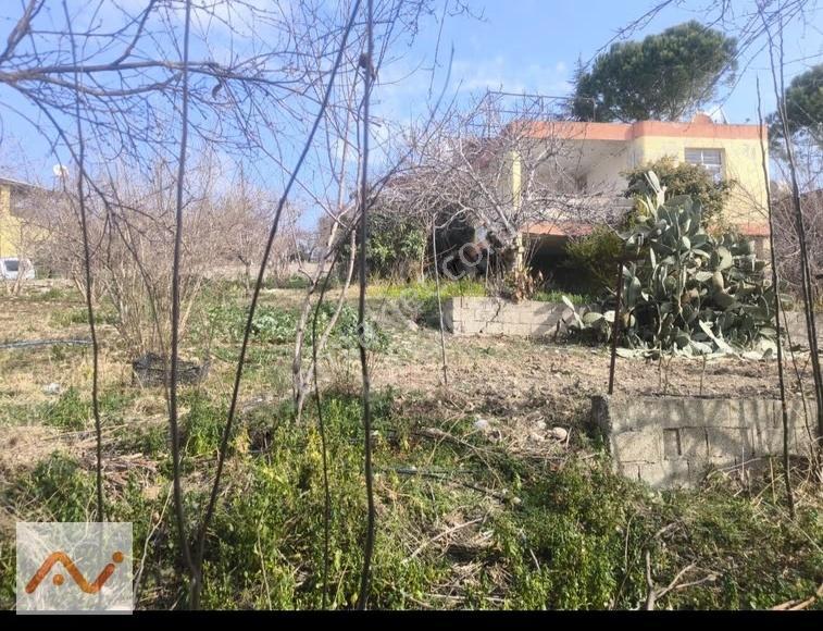 Akarca Yaylası'nda 960m2 Arsa İçerisinde Müstakil Evli Yaylalık - Görsel 9