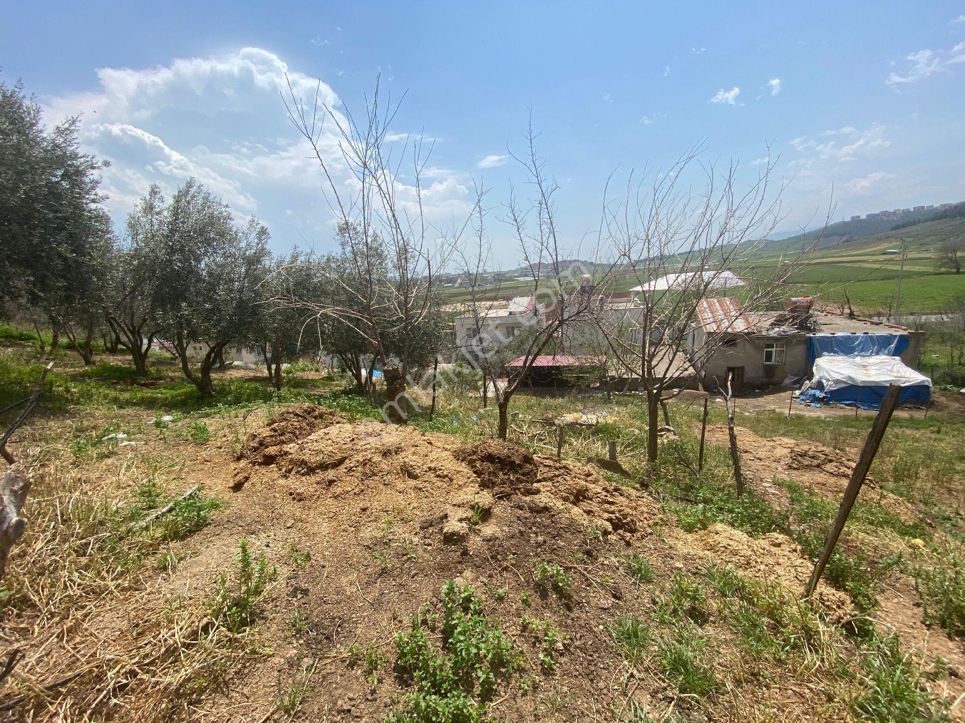 Yıldız Emlaktan Kılılı Baraj Caddesi 2 Kat Konut İmarlı Arsa - Görsel 12