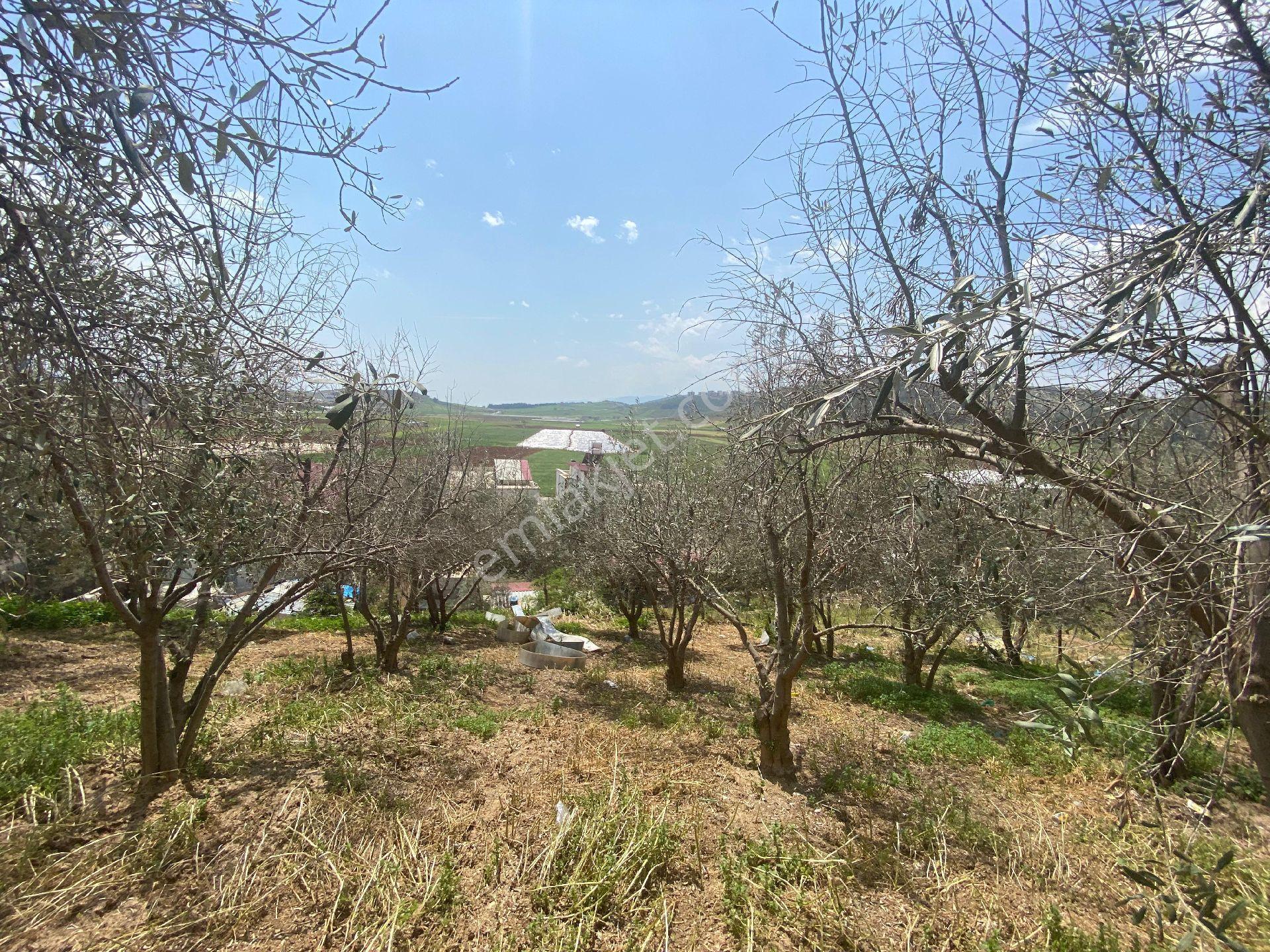 Yıldız Emlaktan Kılılı Baraj Caddesi 2 Kat Konut İmarlı Arsa - Görsel 5