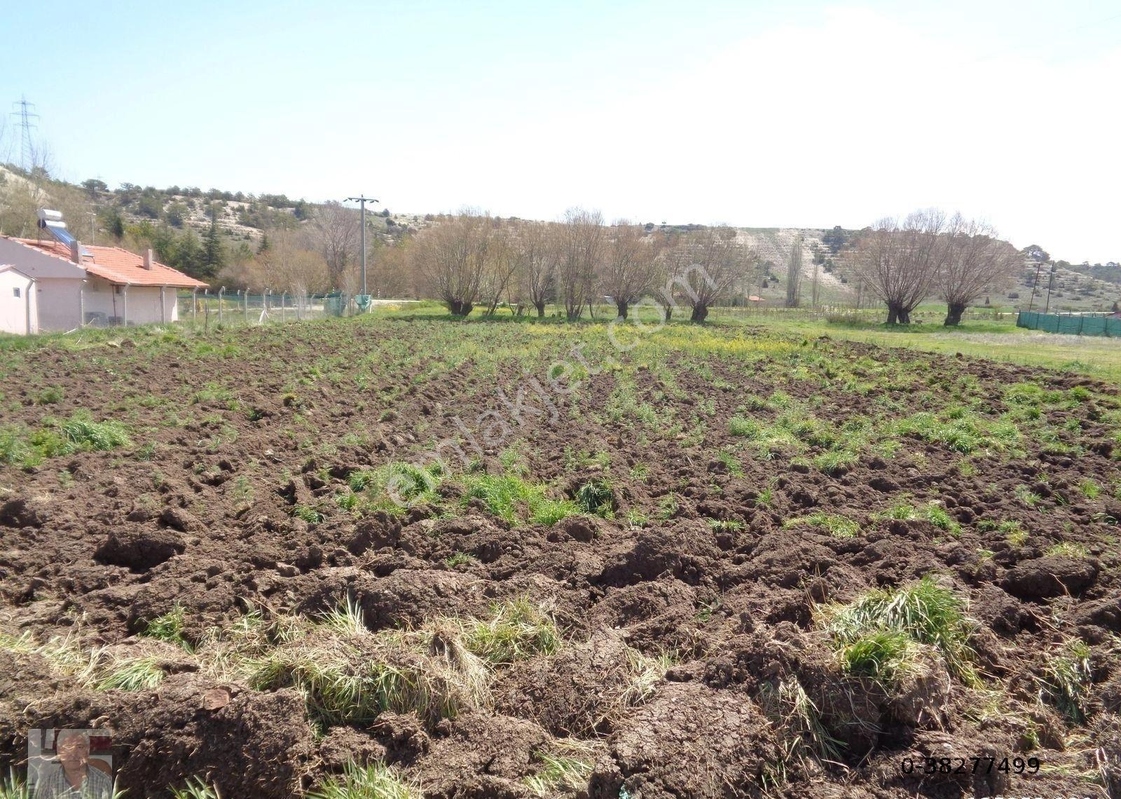 Takmak Mahallesi Kütahya Yoluna Yakın Yatırımlık Tarla - Görsel 9