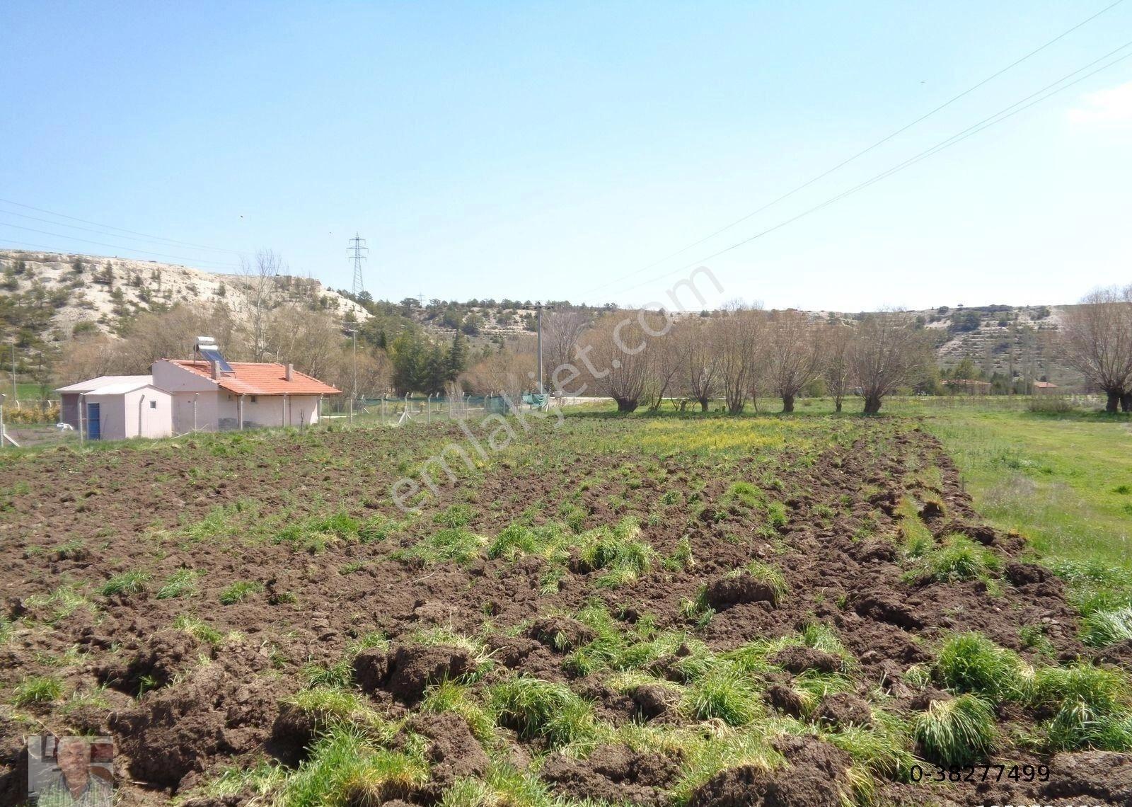 Takmak Mahallesi Kütahya Yoluna Yakın Yatırımlık Tarla - Görsel 5