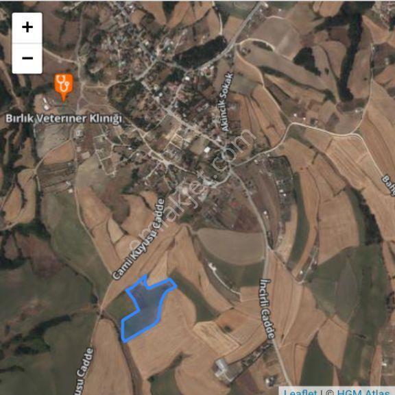 Silivri Arsa