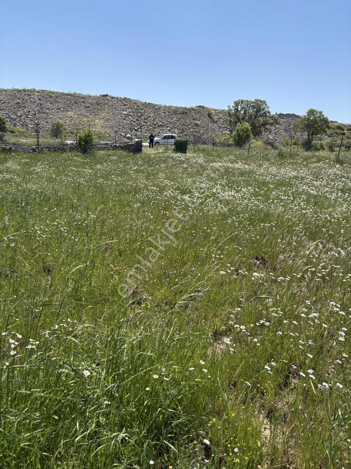 Bergama Maruflar Hayvancılık Projelerine Uygun Tarla - Görsel 19