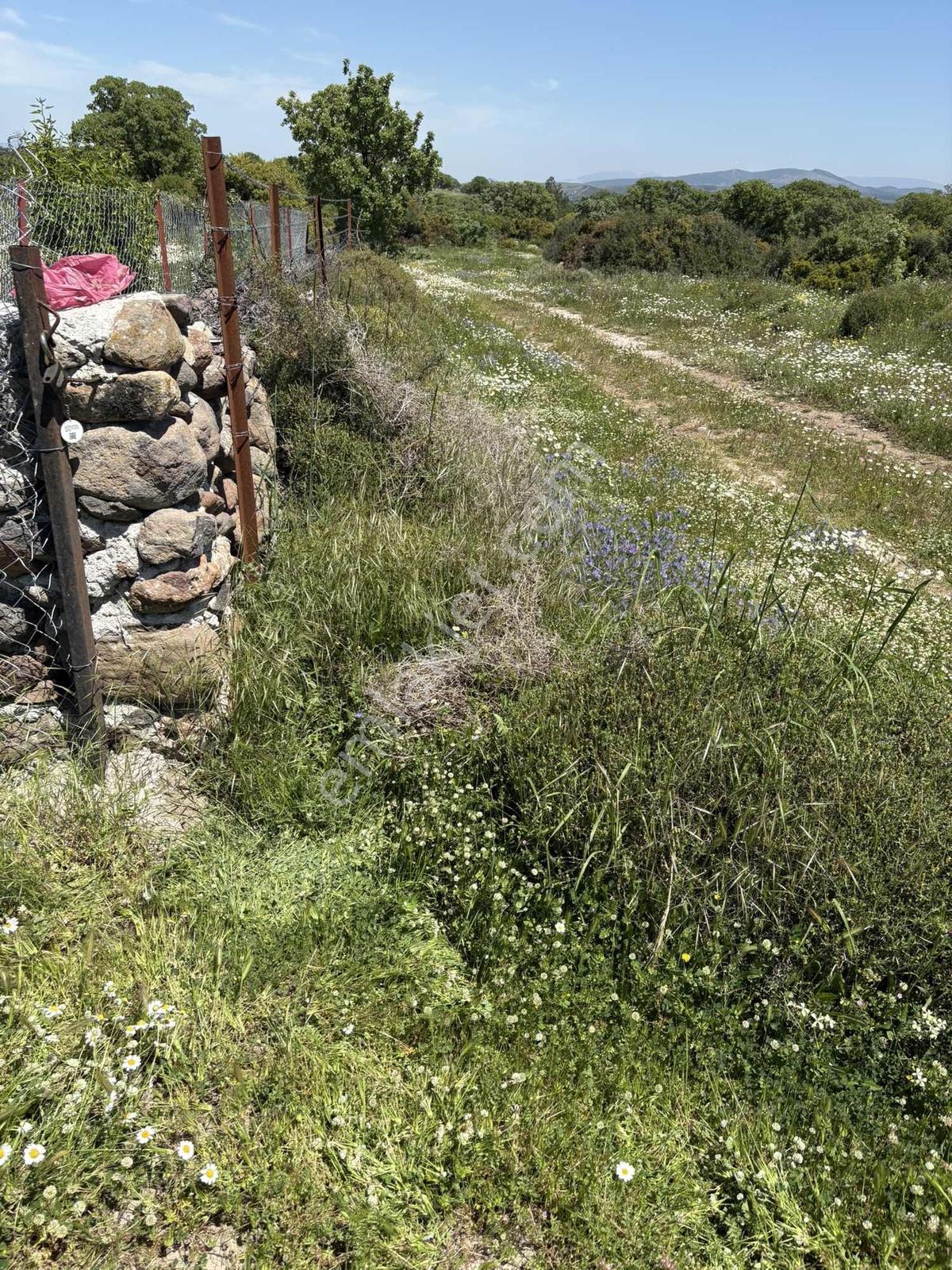 Bergama Maruflar Hayvancılık Projelerine Uygun Tarla - Görsel 5