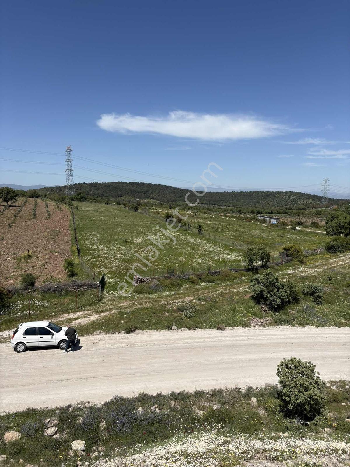 Bergama Maruflar Hayvancılık Projelerine Uygun Tarla
