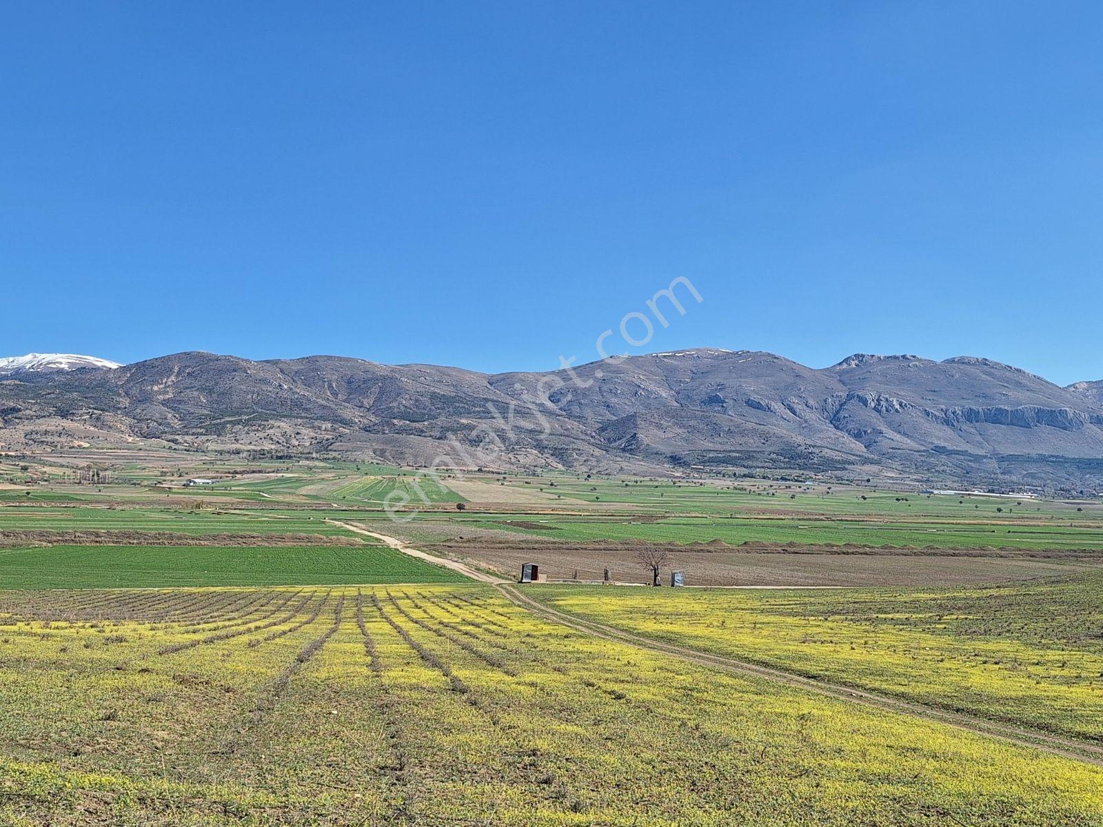 Burdur Kemerde Kadastro Yolu 9150 M2 - Görsel 7