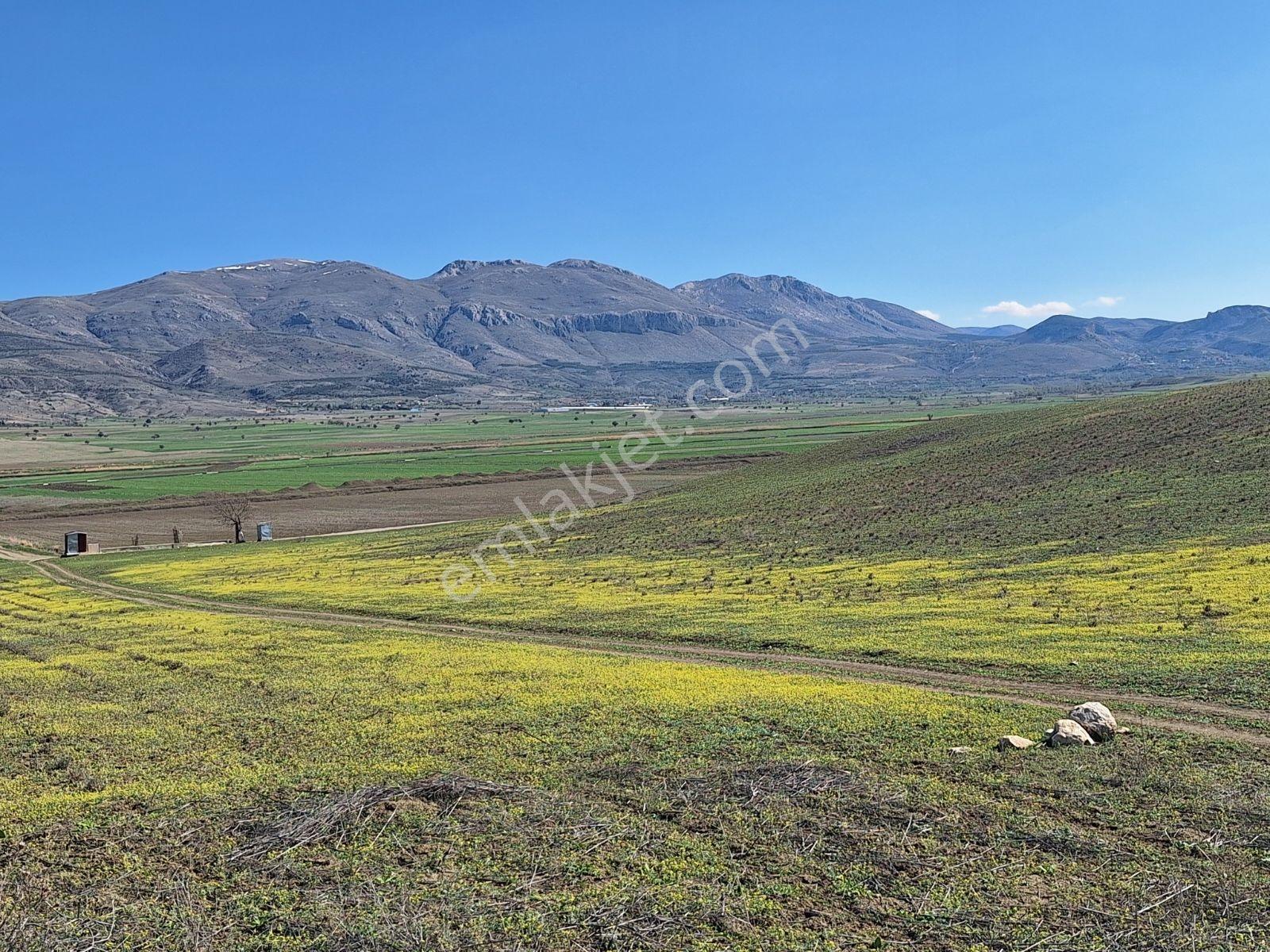 Burdur Kemerde Kadastro Yolu 9150 M2 - Görsel 8