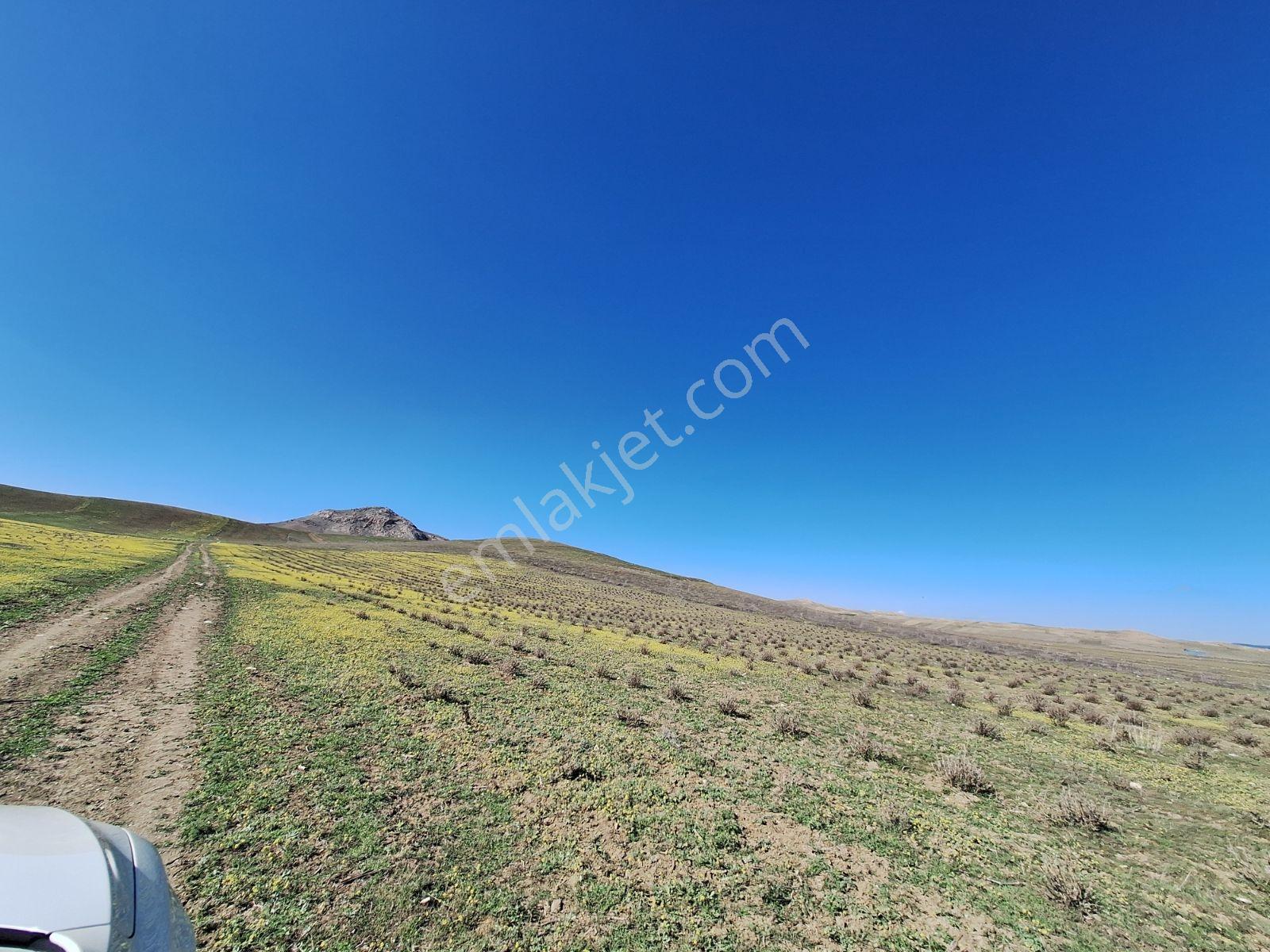 Burdur Kemerde Kadastro Yolu 9150 M2 - Görsel 4
