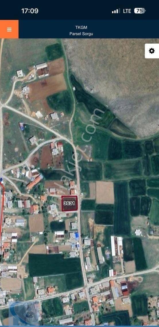 Kadınhanı Osmancık Zafer Mahallesi