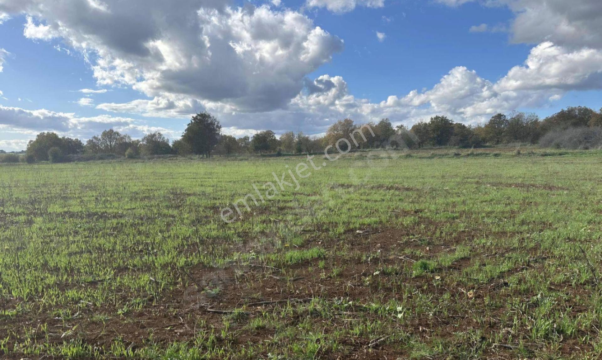 Ç.kale Biga Da18.510m2çiftlik Arazısı Mustakıltapu - Görsel 6
