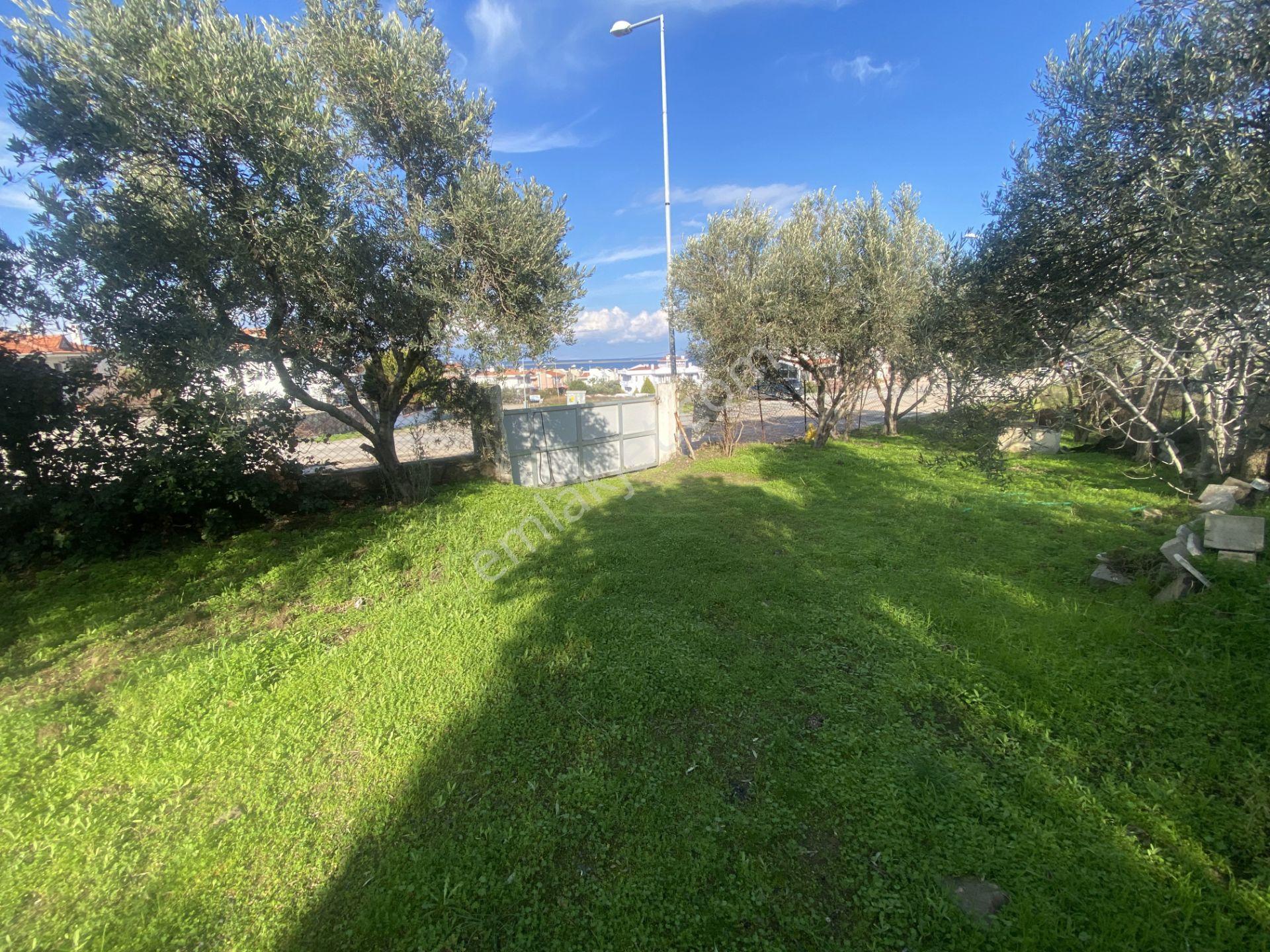 Ayvalık Cunda Da Satılık Tek Katlı Mustakil Villa.denize Yakın - Görsel 22