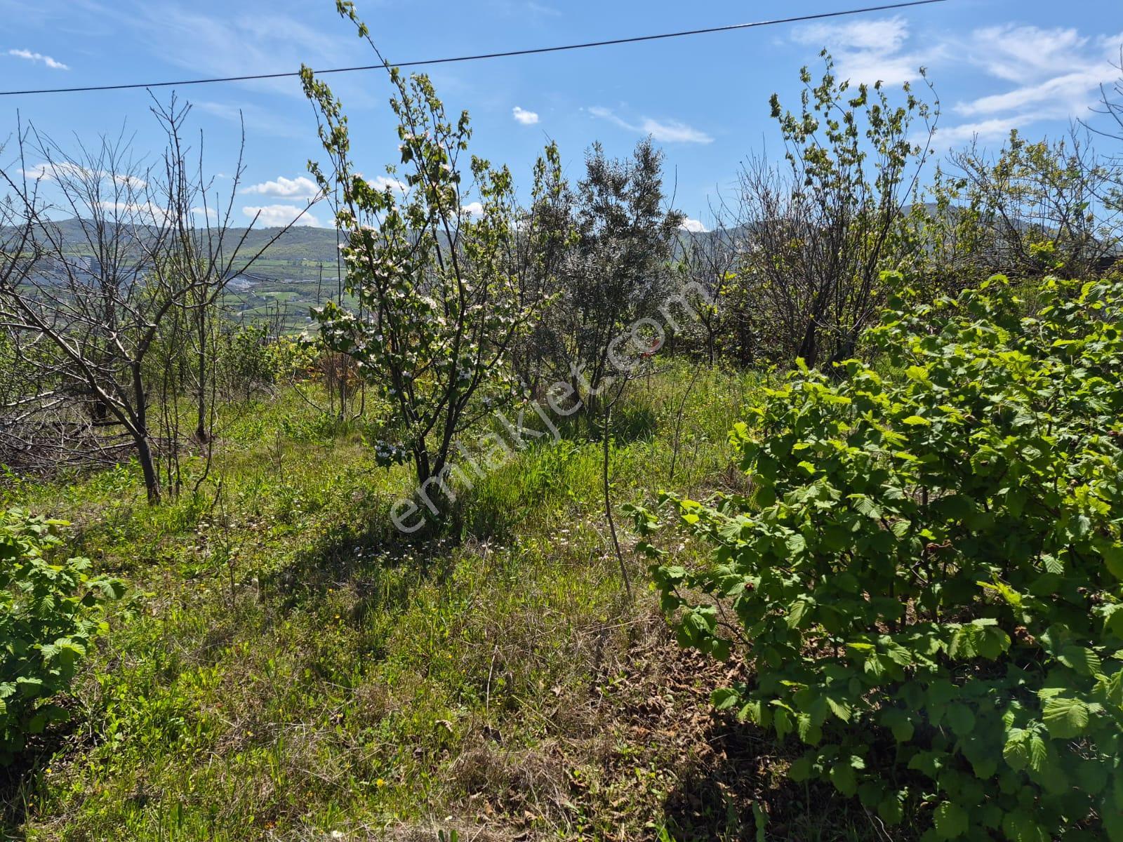 Amazon'dan Ataköy'de 1436 M2, 6 Kat Konut İmarlı Arsa Satılık Veya Kat Karşılığı - Görsel 17