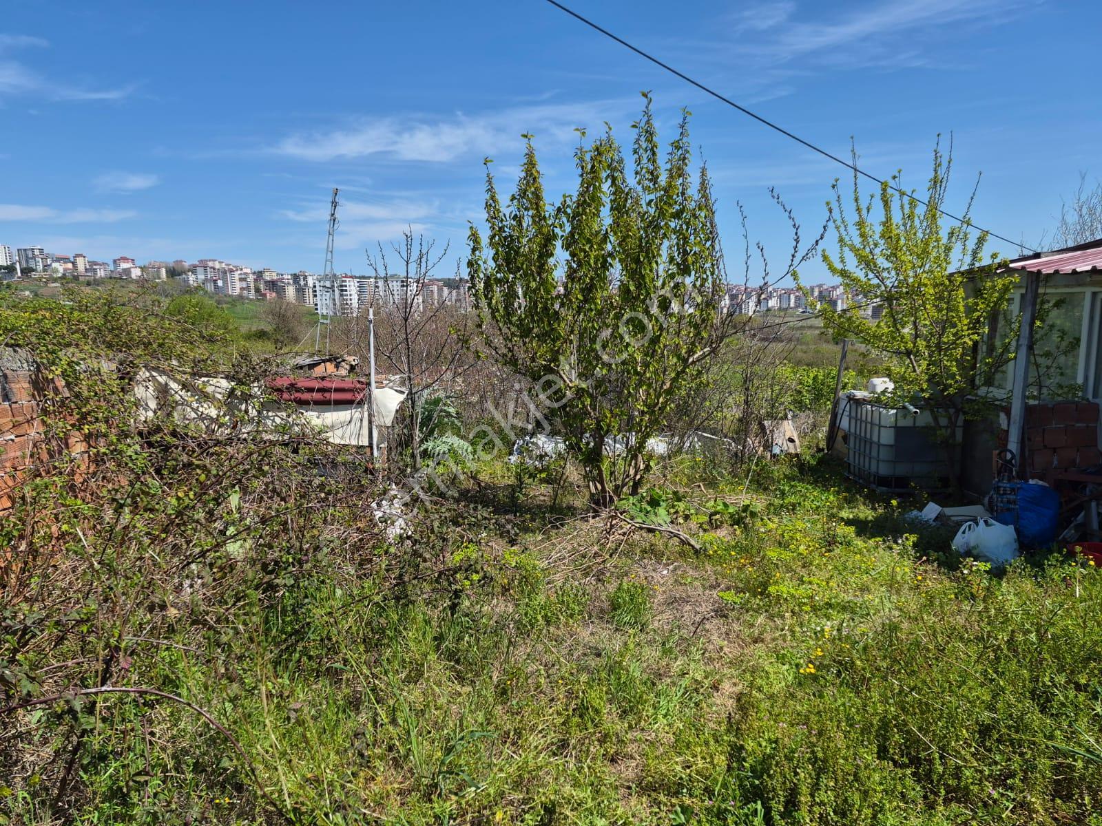Amazon'dan Ataköy'de 1436 M2, 6 Kat Konut İmarlı Arsa Satılık Veya Kat Karşılığı - Görsel 18