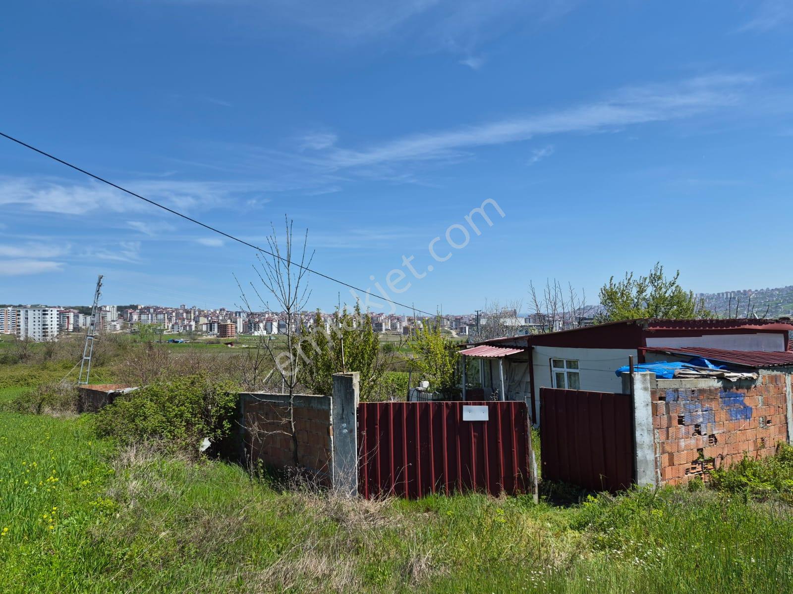 Amazon'dan Ataköy'de 1436 M2, 6 Kat Konut İmarlı Arsa Satılık Veya Kat Karşılığı - Görsel 5