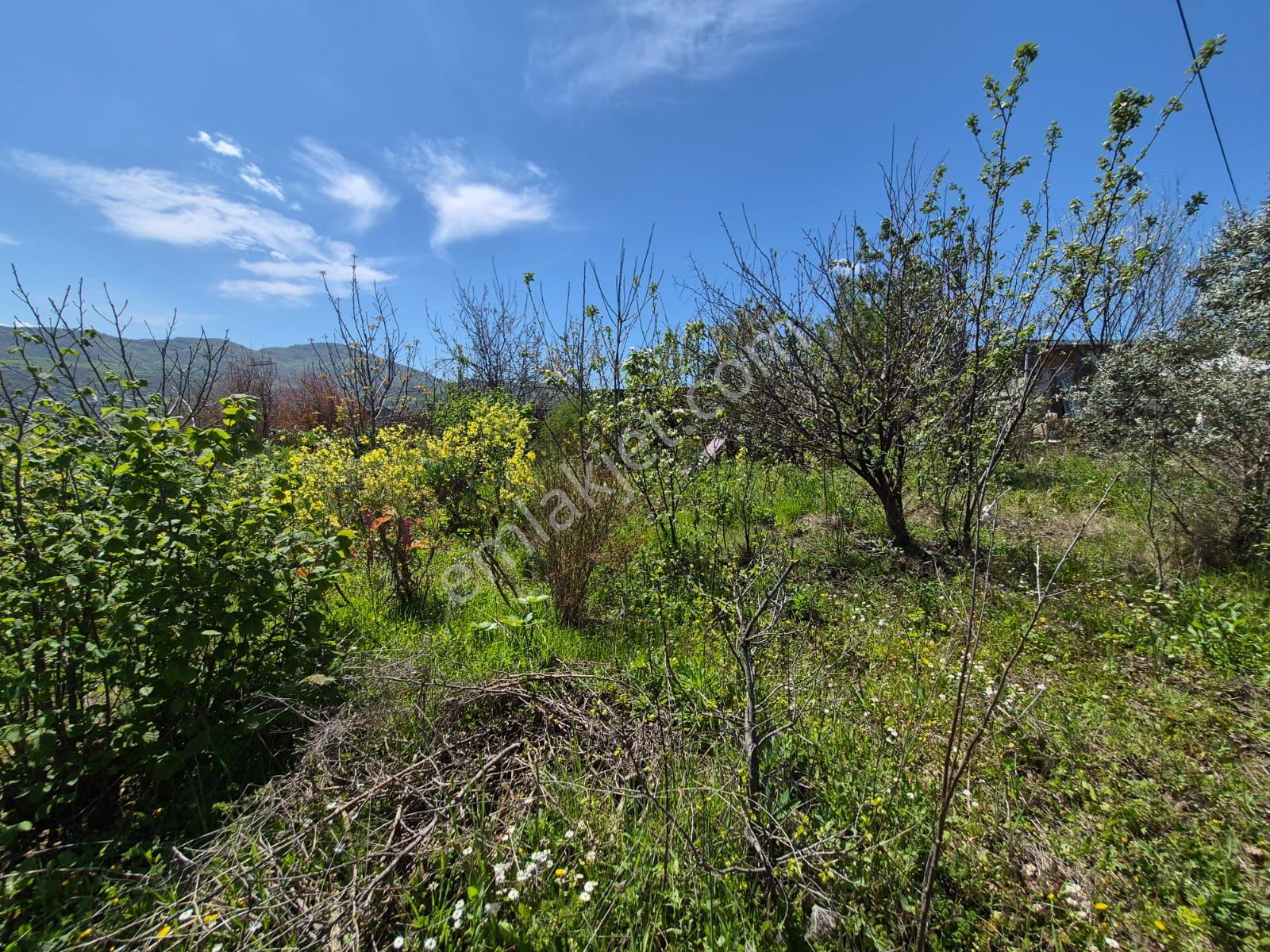 Amazon'dan Ataköy'de 1436 M2, 6 Kat Konut İmarlı Arsa Satılık Veya Kat Karşılığı - Görsel 19