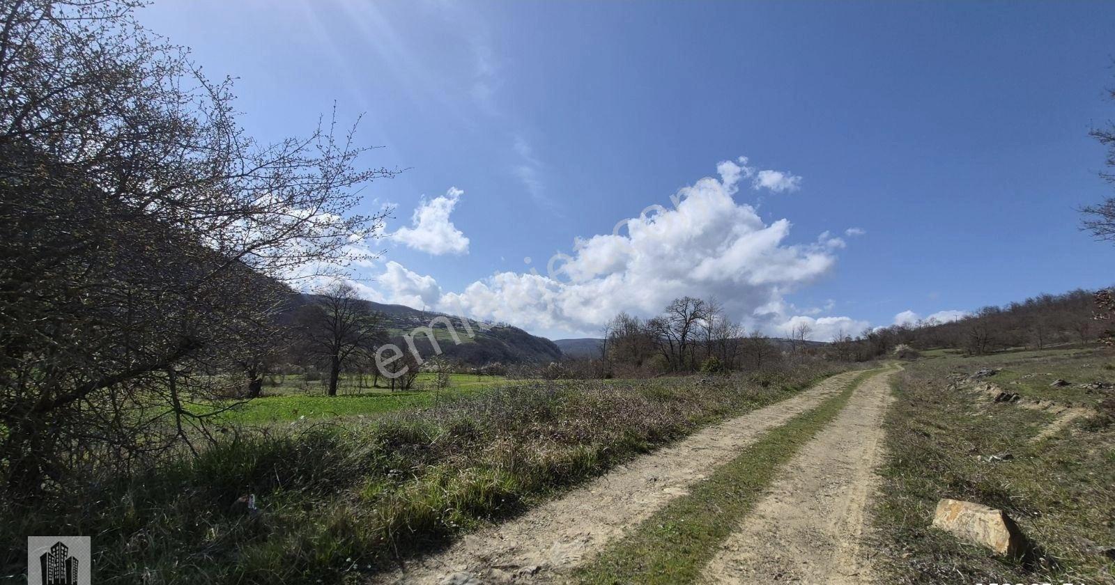 Güven Şahin.den Kavak Sarayket.de 7200m2 - Görsel 3