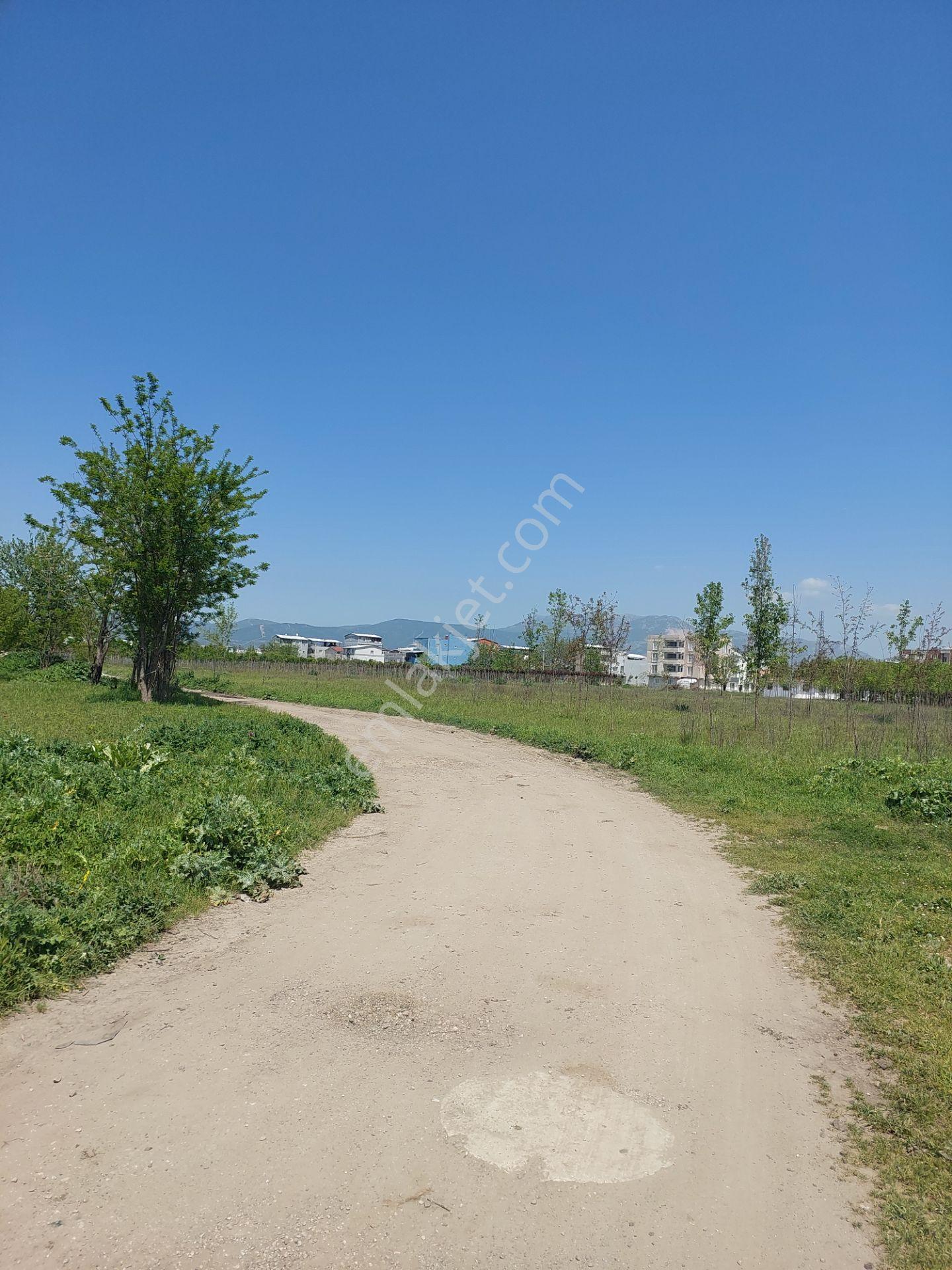 Bursa Yıldırım Vakıf'ta Satılık 4360m² İki Bitişik Parsel Bahçe - Görsel 33