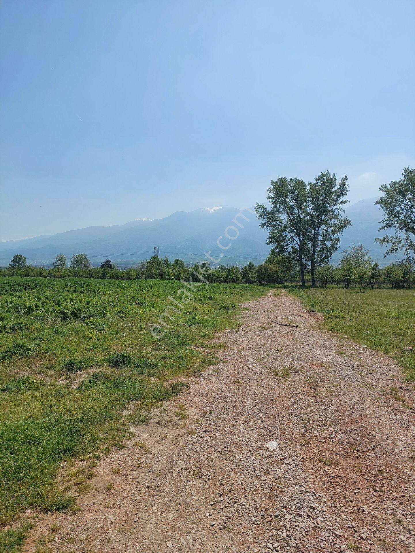 Bursa Yıldırım Vakıf'ta Satılık 4360m² İki Bitişik Parsel Bahçe - Görsel 22