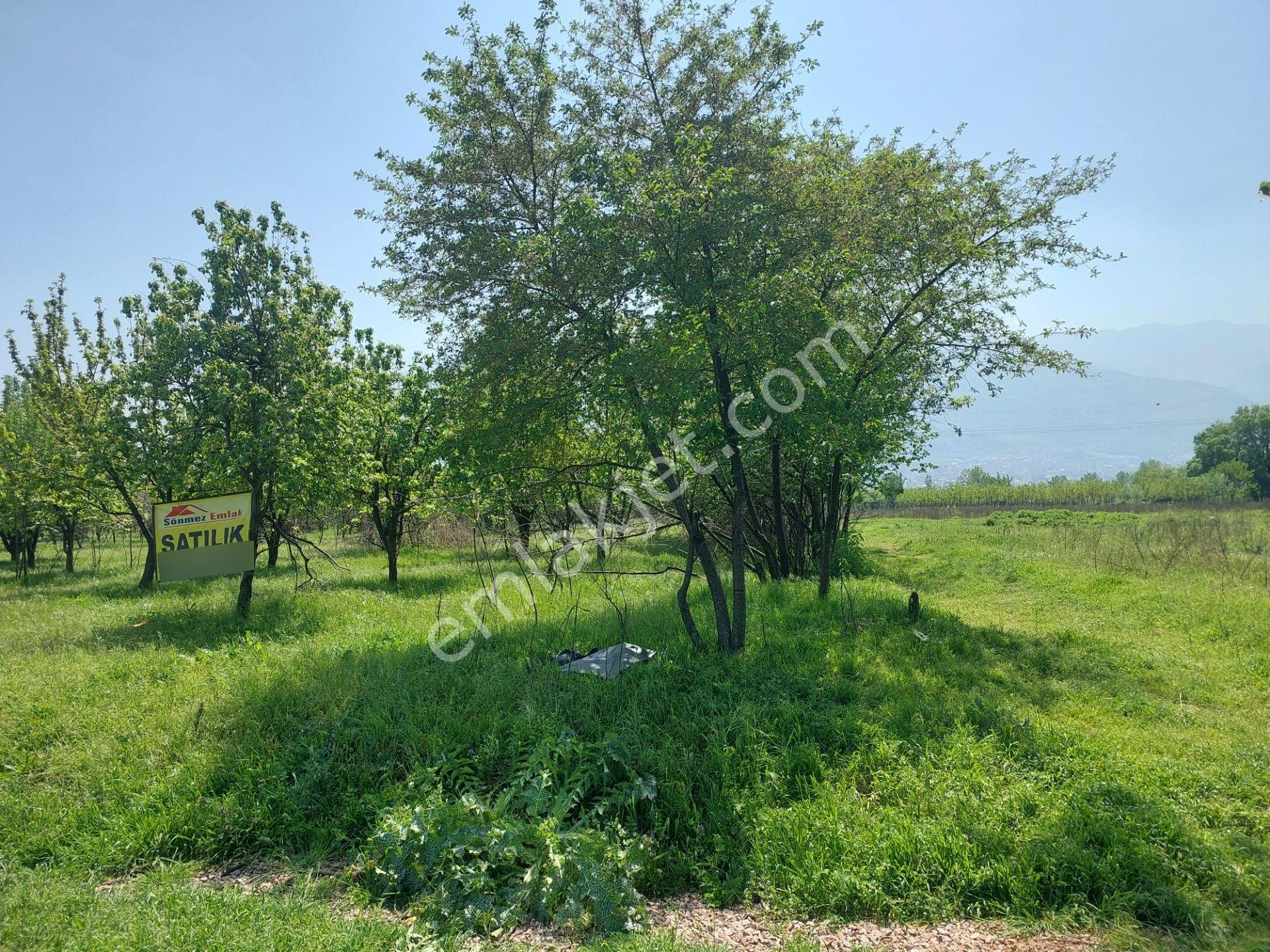 Bursa Yıldırım Vakıf'ta Satılık 4360m² İki Bitişik Parsel Bahçe - Görsel 9