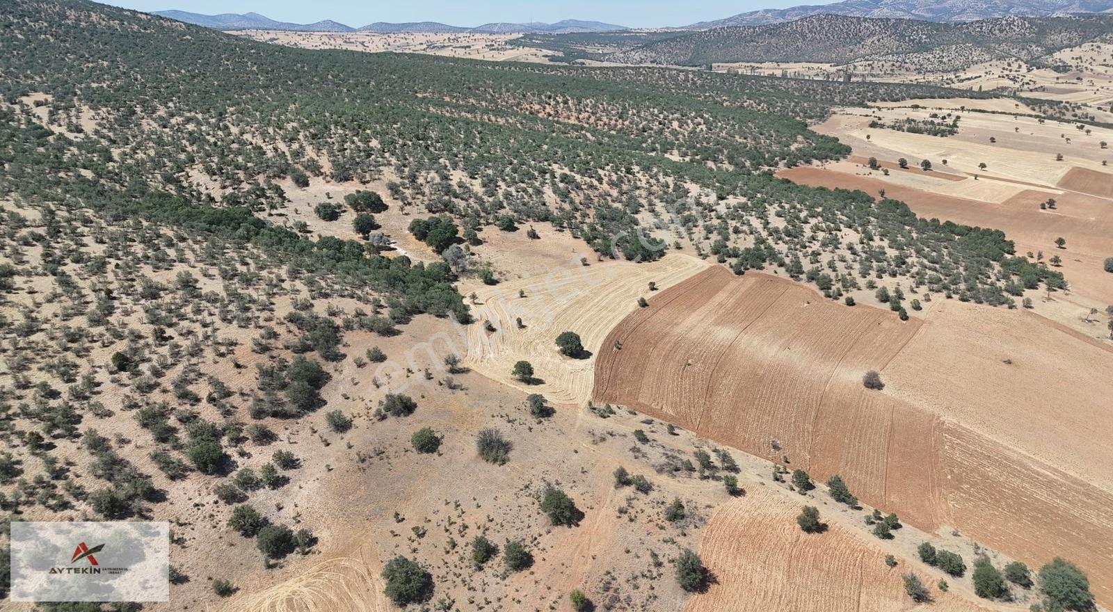 Güneysınır Ağras Mahallesinde 182 M² Müstakil Tapulu Tarla - Görsel 2