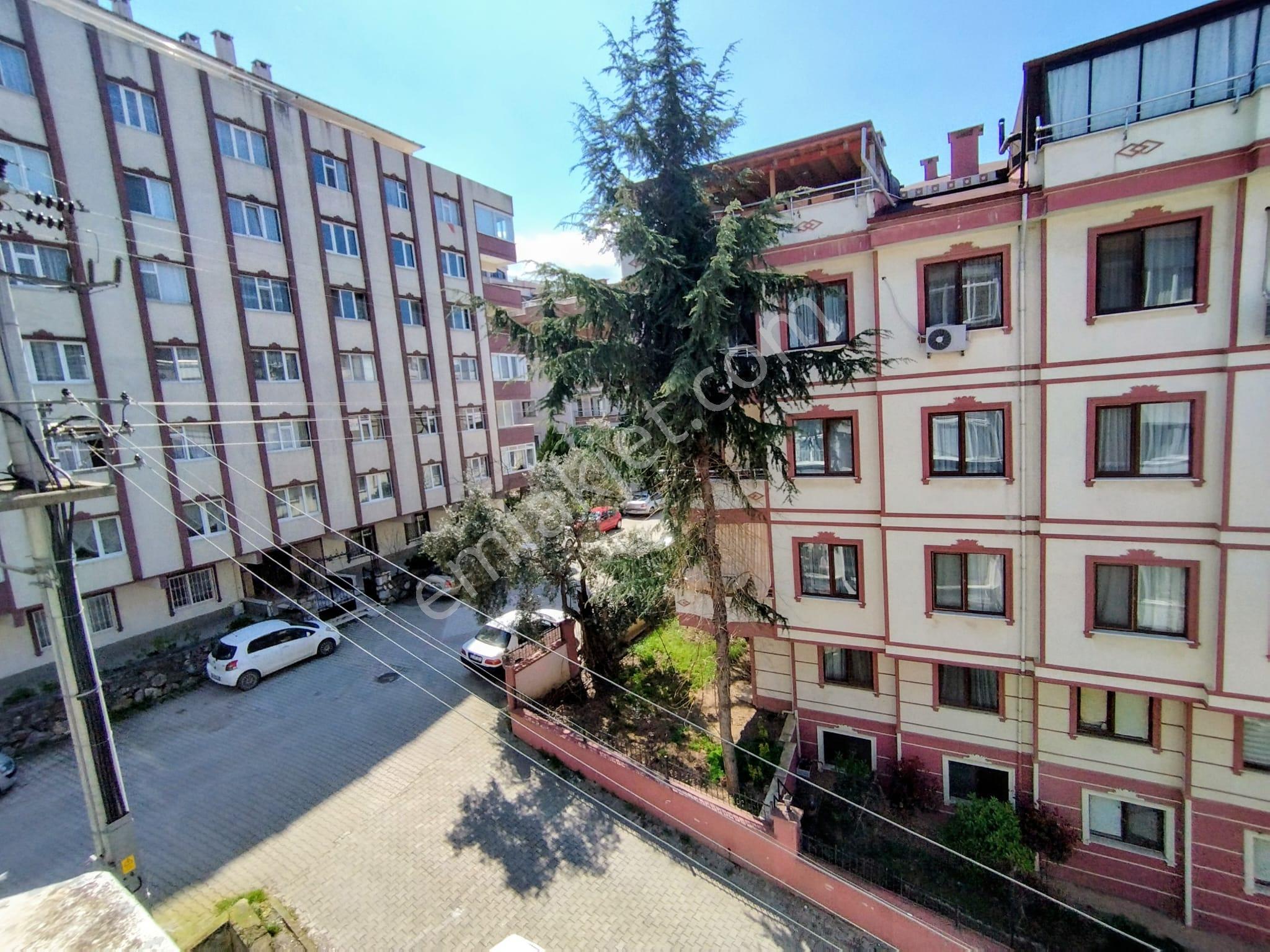 Çınarcık Merkezde,deniz Manzaralı, 4+2, Tek Tapulu Çift Daire - Görsel 22
